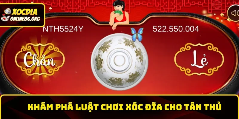 five88chi tiet luat choi xoc dia tai san cuoc Chi tiết luật chơi xóc đĩa tại sân cược