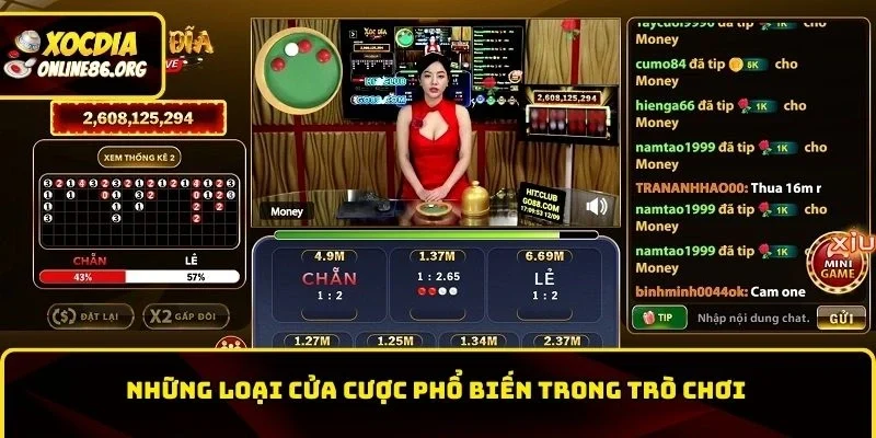 Những loại cửa cược phổ biến trong trò chơi