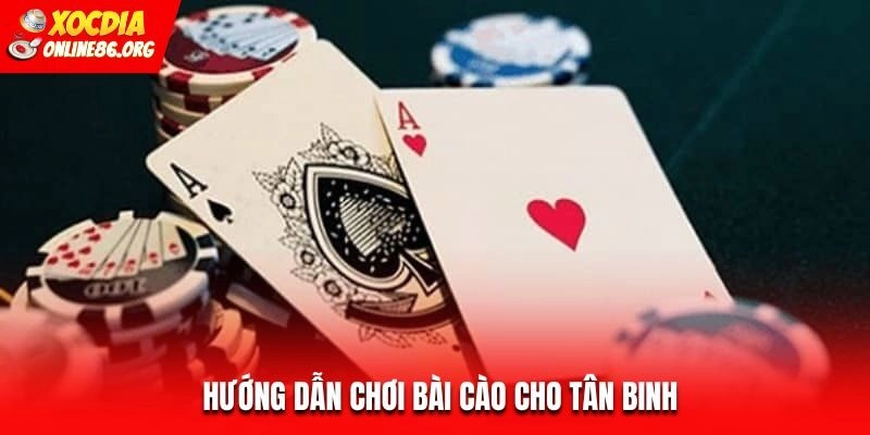 Hướng dẫn chơi bài cào cho tân binh