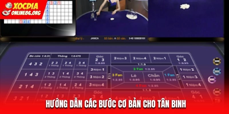 fan tan huong dan Hướng dẫn các bước cơ bản cho tân binh