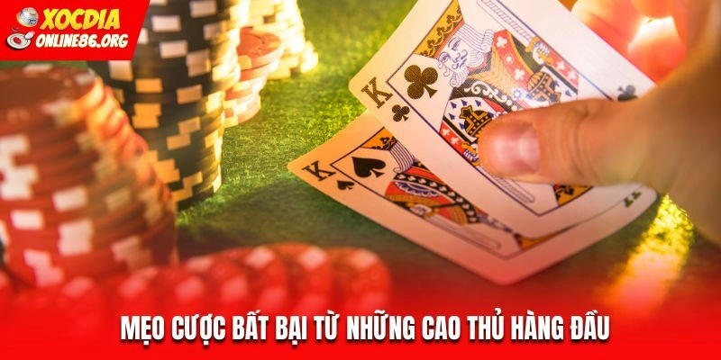 Mẹo cược bất bại từ những cao thủ hàng đầu