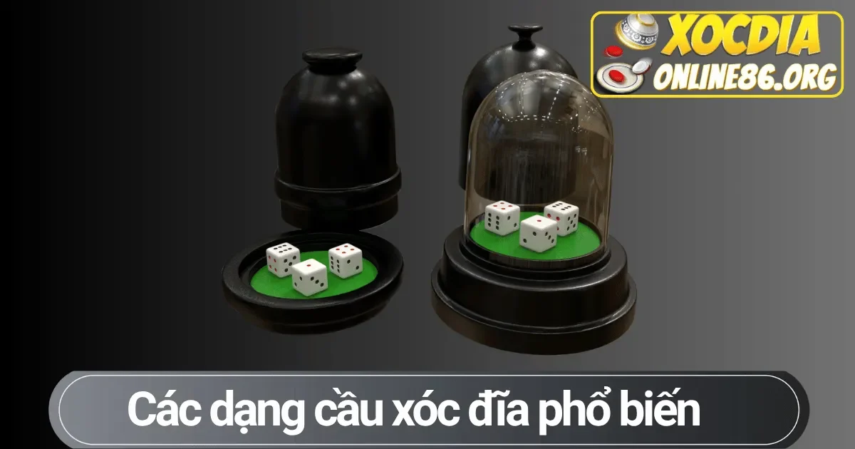 Các dạng cầu xóc đĩa phổ biến