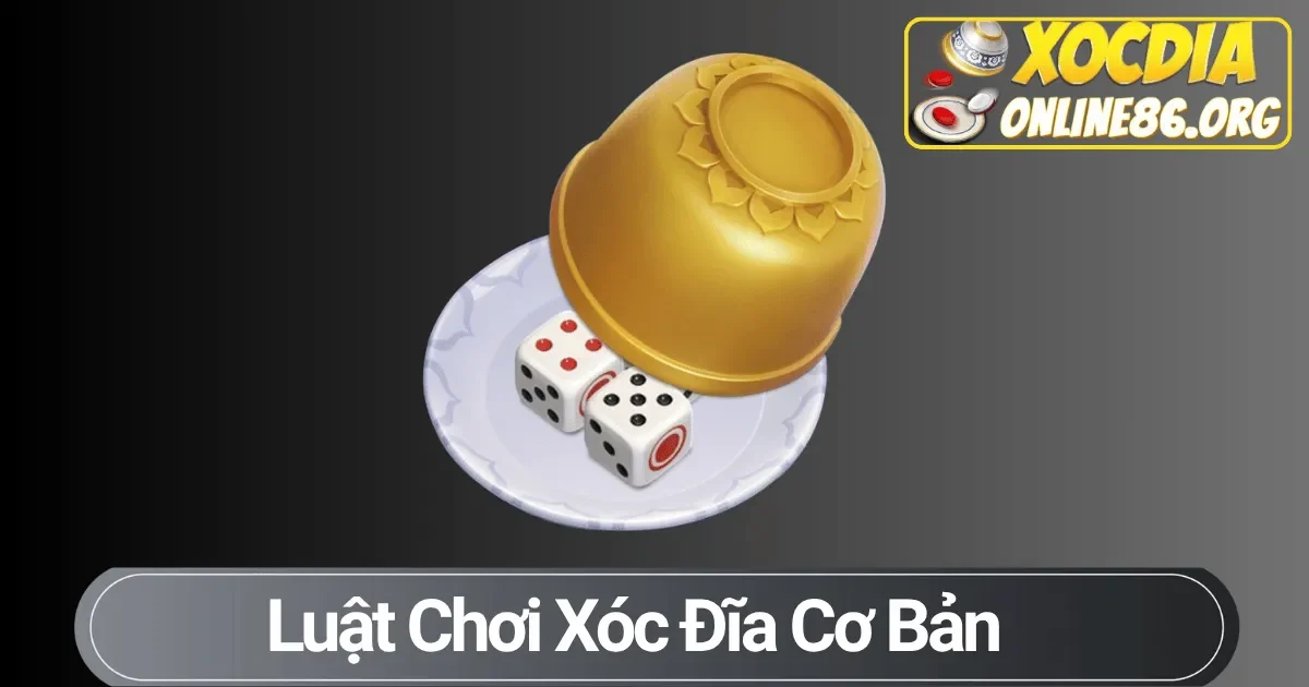Luật xóc đĩa cơ bản